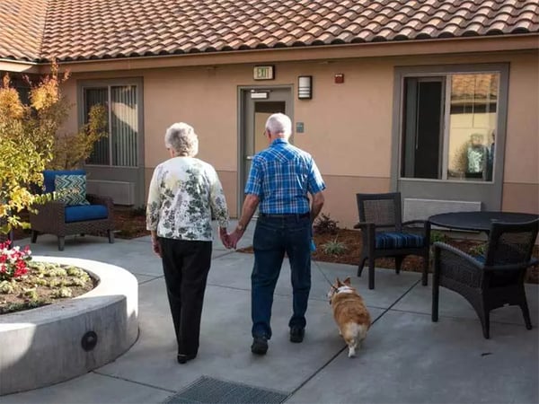 Meadow_CoupleWalkingDog