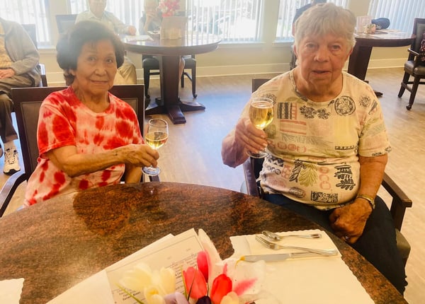 Meadow_Oaks_of_Roseville_Activity_2